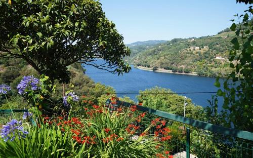  Quinta Da Porta Caseira, Pension in Resende