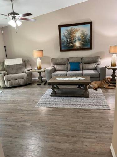 Quiet Snowbird Retreat Comfy Affordable in Hernando (FL)