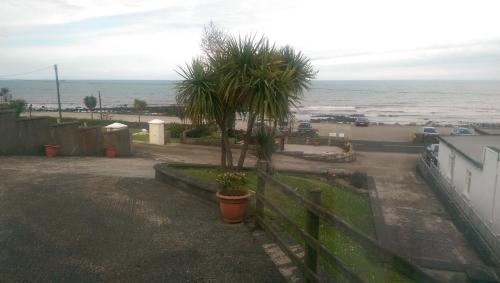 Halfway House Hotel - image 9