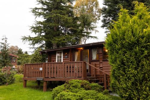 Mountain View Log Cabin - Snowdonia