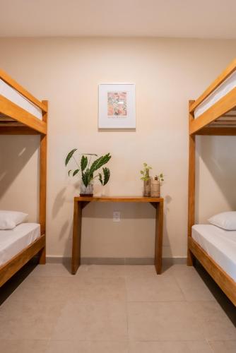 Bed, Mecate Hostel by Xibalba in Centro