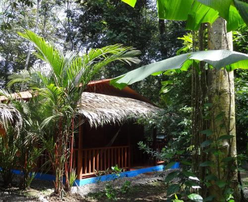 Casitas Las Flores