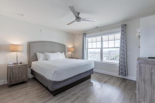Impala Suites - image 9