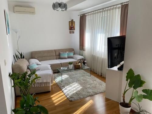 Apartman Ares Cacak