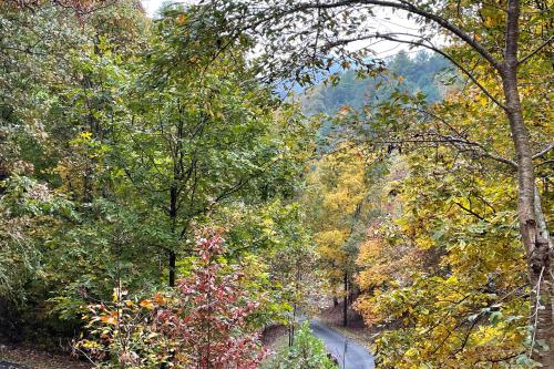 Pet-Friendly Leicester Mountain View Escape in Leicester, USA