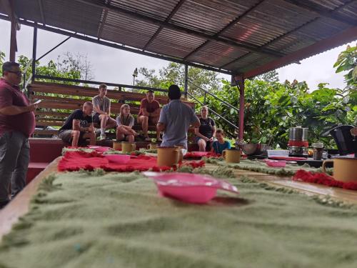 The Chocolate Lodge in Guacimo