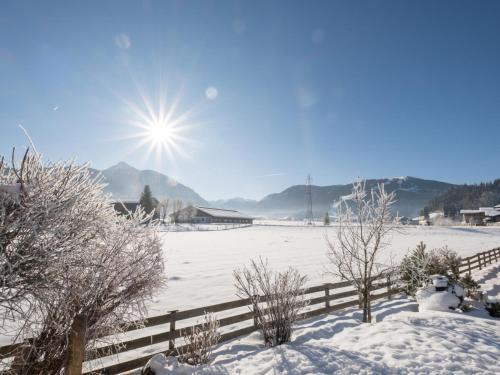 Elsa Flachau - Apartment