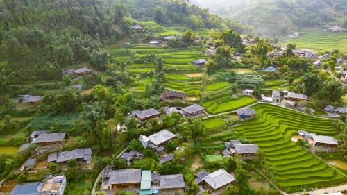 Zoni Home Trạm Tấu