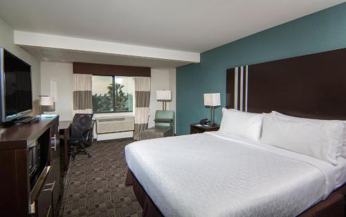 Holiday Inn Express Hotel & Suites Carlsbad Beach, an IHG Hotel