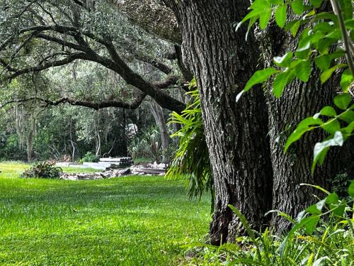Hidden City Riverfront Apt Near Lakes Golf & Disney thumb 3