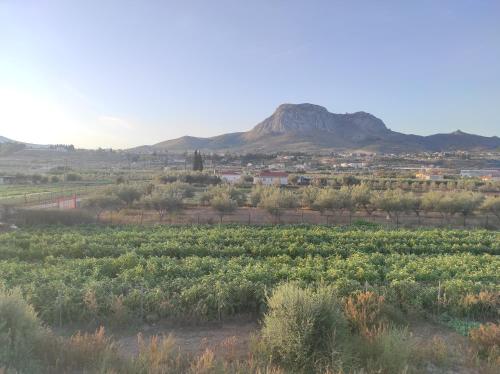 Akrokorinthos View House