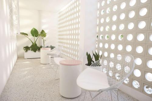 Adina Apartment Hotel Chippendale - image 7