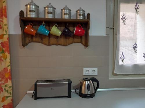 Cals Nonos in เรอุส