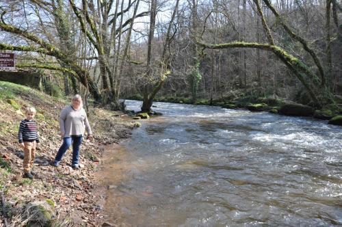 Canal du Nivernais Gîtes Le champ radis