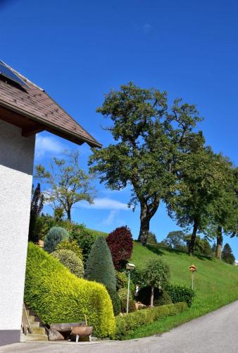 Surrounding environment, Tiny House Birner Ertl in Maria Neustift