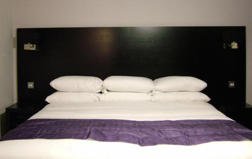 The Abbey Lodge Hotel - image 10