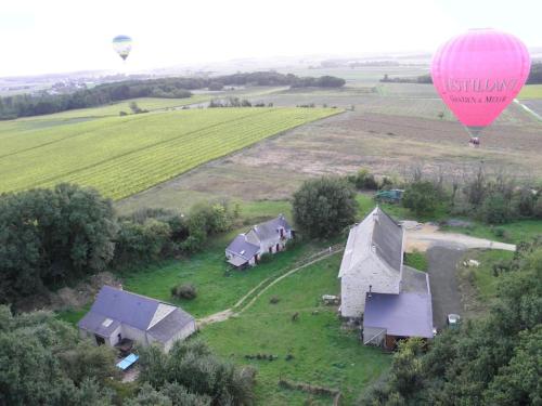 Le Bois Davy - Camping - Gennes-Val-de-Loire