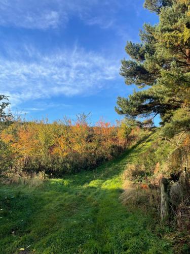 East Learmouth Lakeside Lodges