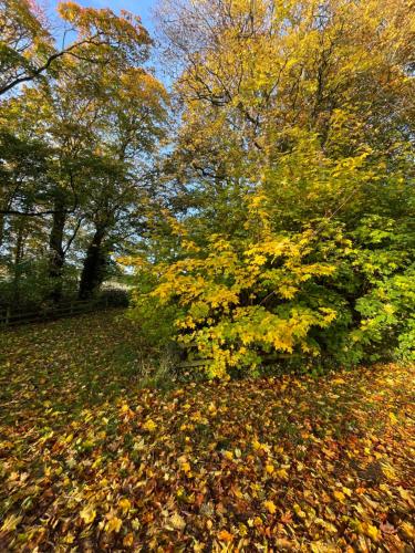 East Learmouth Lakeside Lodges