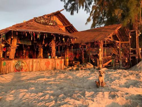 B&B Ko Phayam - Rasta Baby Bar & Bungalows - Suitable for young travelers - Bed and Breakfast Ko Phayam