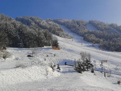 Appartement Villard-de-Lans 1 pièce 4 personnes - FR-1-515-69 - image 10