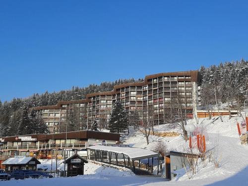 Appartement Villard-de-Lans 1 pièce 4 personnes - FR-1-515-69 - image 4