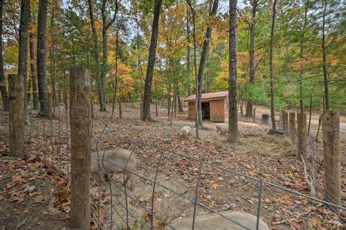 Rustic Clint Eastwood Ranch Apt by Raystown Lake