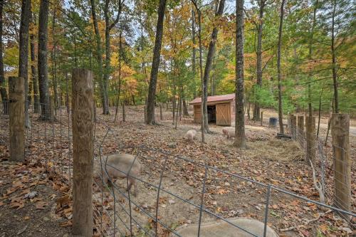 Rustic Clint Eastwood Ranch Apt by Raystown Lake - image 11