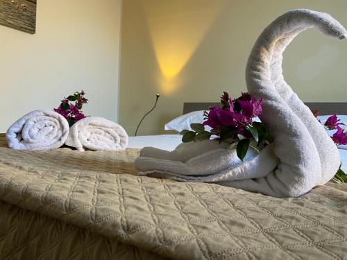 ProKite Alby Rondina - RESORT -