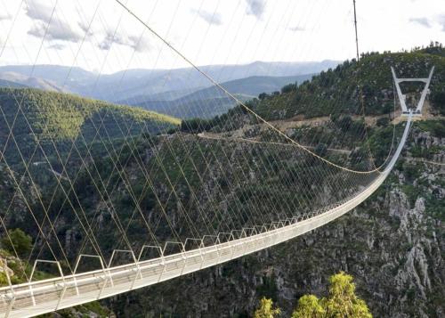 Trebid'Ouro - image 10