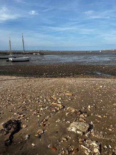 L'étoile de mer