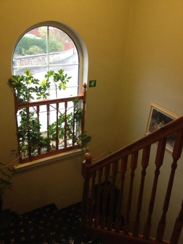 Twin Lions Hotel - image 11