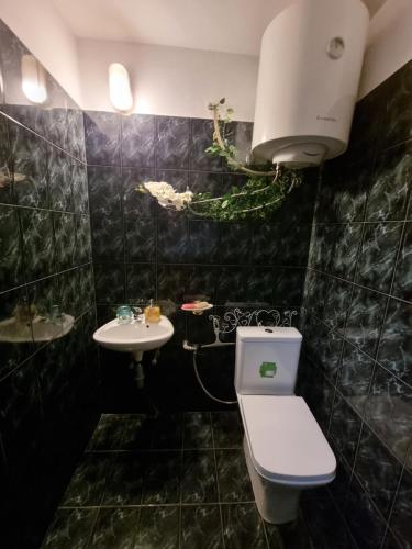 Tsar Simeon, 2 bedroom, living room and fireplace, Sofia (Foto 9)