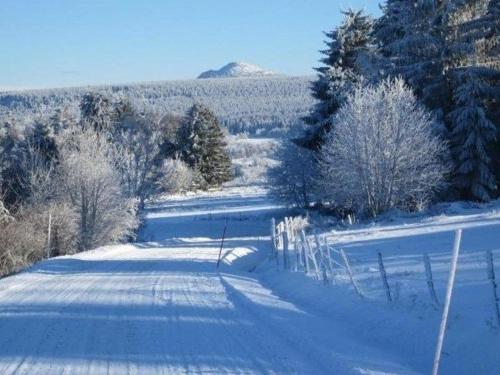 Gîte Saint-Jeures, 5 pièces, 8 personnes - FR-1-582-254