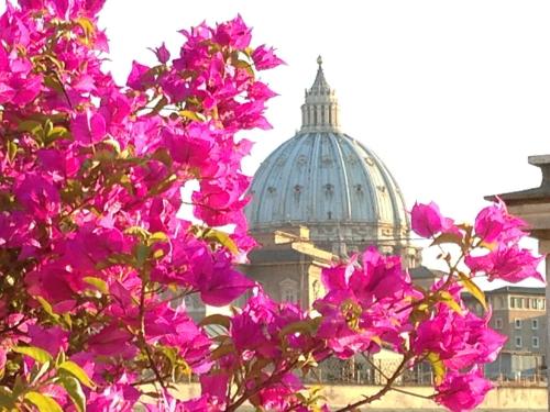 Hotel dei Consoli Vaticano, Rome (photo 6)