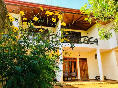 Hotel mango tree nearest Adam's peak