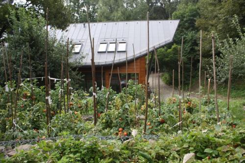 Ekosamotnia - image 5