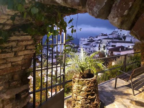 附近景點, Casa El Olivo by CasaTuristica in 貝納勞里亞