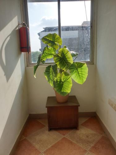 Hotel City Garden in Madgaon
