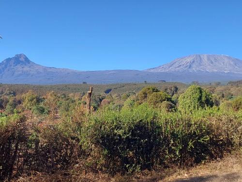 Kilimanjaro Loitokitok Resort Amboseli