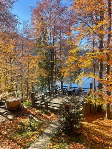 Pensiunea Lac - image 12