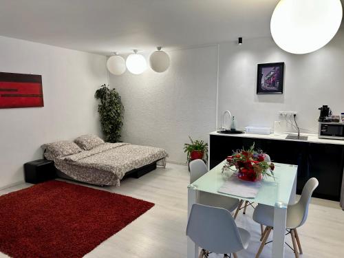 Apartament in centrul Clujului 3