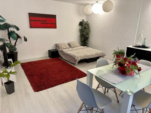 Apartament in centrul Clujului 2