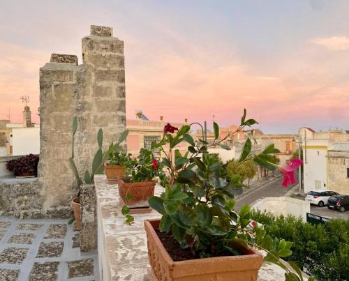 Palazzo Vecchio Cocumola Palazzo Vecchio Cocumola