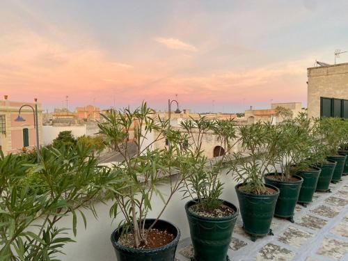 Palazzo Vecchio Cocumola Palazzo Vecchio Cocumola