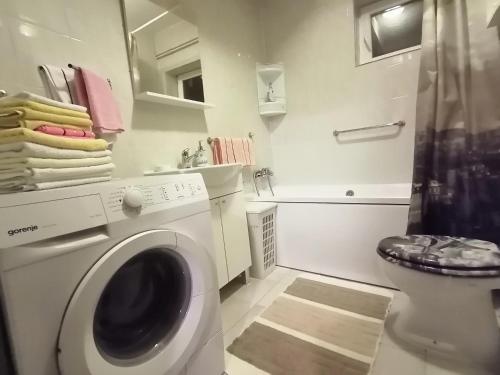  Apartment Špehar in Selište Drežničko