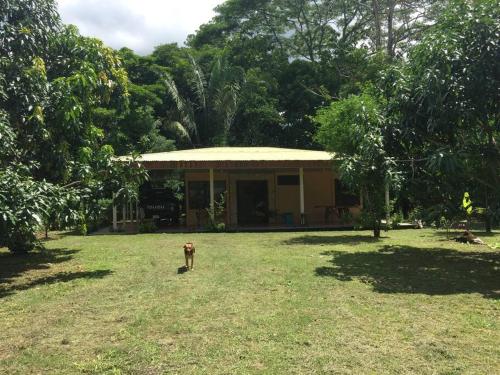 Casa a 26 kilómetros de Jaco rodeado de naturaleza