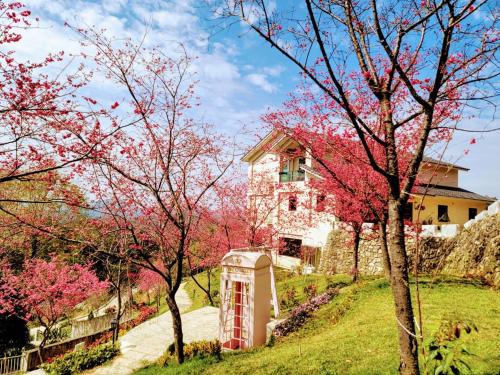山水奇異民宿景觀餐廳評價、影片、特色體驗、房價資訊、訂房連結 – 景觀美食與溫馨住宿 - 照片 9