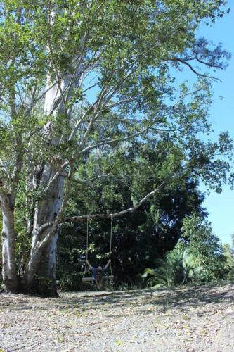 Tamborine Palms Farmhouse photo