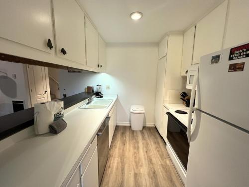 One-Bedroom Apartment image 6